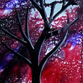 Background of Dooars-1 by Tamal Sen Sharma