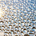 Water drops on window backlit by sun Photograph by Viktor Wallon-Hars Water drops on window backlit by sun Photograph by Viktor Wallon-Hars