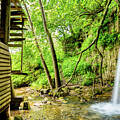 Backside Of Falling Spring Mill by Jennifer White