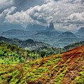 Backside of Simien Mountains Photograph by Matt Cohen Backside of Simien Mountains Photograph by Matt Cohen
