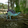 Backyard Dinosaur Photograph by Carolyn Hutchins Backyard Dinosaur Photograph by Carolyn Hutchins