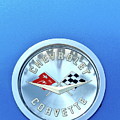 Badge of Distinction Photograph by Lens Art Photography By Larry Trager Badge of Distinction Photograph by Lens Art Photography By Larry Trager