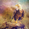 Bald Eagle with an abstract painterly effect by Sue Leonard