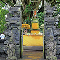 Bali - Tirta Empul - Water Temple 2 by Richard Krebs