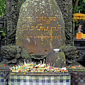 Bali - Tirta Empul - Water Temple 3 by Richard Krebs