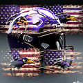 Balt Ravens by Mike Peconge