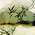 Bamboo Sunsset Mixed Media by Colleen Taylor Bamboo Sunsset Mixed Media by Colleen Taylor