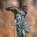 Barbwire And Boot by Paul Freidlund