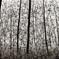 Bare Forest Painting by Hailey E Herrera Bare Forest Painting by Hailey E Herrera