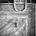 Barn Door Photograph by Steve Stanger Barn Door Photograph by Steve Stanger