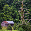 Barn - Kentucky Woods - Louisville by Gary Whitton
