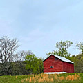 Barn with Beard Photograph by Lee Darnell Barn with Beard Photograph by Lee Darnell