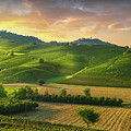 Barolo wine vineyards and La Morra town. Langhe, Italy Photograph by Stefano Orazzini Barolo wine vineyards and La Morra town. Langhe, Italy Photograph by Stefano Orazzini
