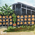 Barrel Rack at Lorenzi Estate Winery by Roxy Rich
