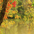 Bass Pond Biltmore Estate Photograph by Rob Hemphill Bass Pond Biltmore Estate Photograph by Rob Hemphill