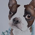 Bathtime Painting by Laurel Best Bathtime Painting by Laurel Best