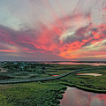 Batts Beauty Photograph by DJA Images