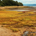 Bay of Fundy Low Tide Photograph by Tatiana Travelways Bay of Fundy Low Tide Photograph by Tatiana Travelways