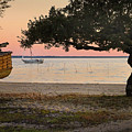 Bayside Photograph by M Kathleen Warren Bayside Photograph by M Kathleen Warren