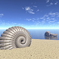 Beach of Shells Digital Art by Phil Perkins Beach of Shells Digital Art by Phil Perkins