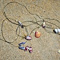 Beach Still Life #6 Photograph by Loren Gilbert Beach Still Life #6 Photograph by Loren Gilbert