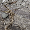 Beach Stone on Driftwood Photograph by Valerie Collins Beach Stone on Driftwood Photograph by Valerie Collins