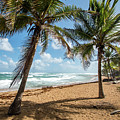 Beach Waves and Palm Trees, Pinones, Puerto Rico Photograph by Beachtown Views Beach Waves and Palm Trees, Pinones, Puerto Rico Photograph by Beachtown Views