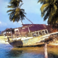 Beached Ship Wreck Photograph by Cathy Anderson Beached Ship Wreck Photograph by Cathy Anderson