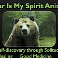 Bear Is My Spirit Animal Photograph by Nancy Ayanna Wyatt Bear Is My Spirit Animal Photograph by Nancy Ayanna Wyatt