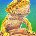 Bearded Dragon Portrait Painting by Rebecca Wang Bearded Dragon Portrait Painting by Rebecca Wang