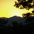 Beautiful Sunset Photograph by Demetrai Johnson Beautiful Sunset Photograph by Demetrai Johnson