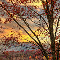 Beautiful Sunset over the Smoky Mountains Photograph by Debra and Dave Vanderlaan Beautiful Sunset over the Smoky Mountains Photograph by Debra and Dave Vanderlaan