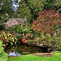 Beauty in the Cotswolds by Sue Morris