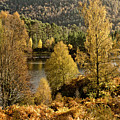BEAUTY OF GOLDEN AUTUMN Scotland, river Glen Affric, Highlands Photograph by Tatiana Bogracheva BEAUTY OF GOLDEN AUTUMN Scotland, river Glen Affric, Highlands Photograph by Tatiana Bogracheva