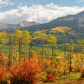 Beckwith Autumn Panorama Photograph by Aaron Spong