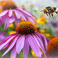 Bee Holy by Macro Abundance Art