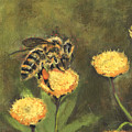 Bee by Mark Blome