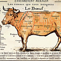 Beef Drawing by French School Beef Drawing by French School