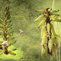 Bees on Yucca Plants Mixed Media by Colleen Cornelius