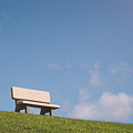 Bench on the Hill by Scott Norris