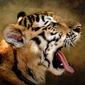Bengal Tiger Digital Art by Maggy Pease Bengal Tiger Digital Art by Maggy Pease
