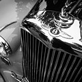 Bently Photograph by Jim Whitley Bently Photograph by Jim Whitley