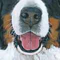 Bernese Mountain Dog Mask 2 Painting by Nadi Spencer Bernese Mountain Dog Mask 2 Painting by Nadi Spencer