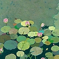 Bettys Serenity Pond by Allan P Friedlander Bettys Serenity Pond by Allan P Friedlander