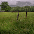 Beyond the Fence, Cades Cove Morning by Marcy Wielfaert