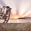 Bicycle at the Shore Cottage Photograph by Debra and Dave Vanderlaan Bicycle at the Shore Cottage Photograph by Debra and Dave Vanderlaan