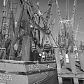 Big Cobb, Darien, Georgia Photograph by John Simmons Big Cobb, Darien, Georgia Photograph by John Simmons