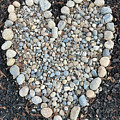 Big Hearts by Shannon Grissom Big Hearts by Shannon Grissom