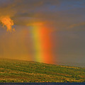 Big Island Rainbow by John Bauer