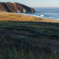 Big Sur, California by Tyler Rooke